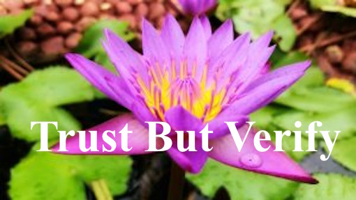 Trust But Verify